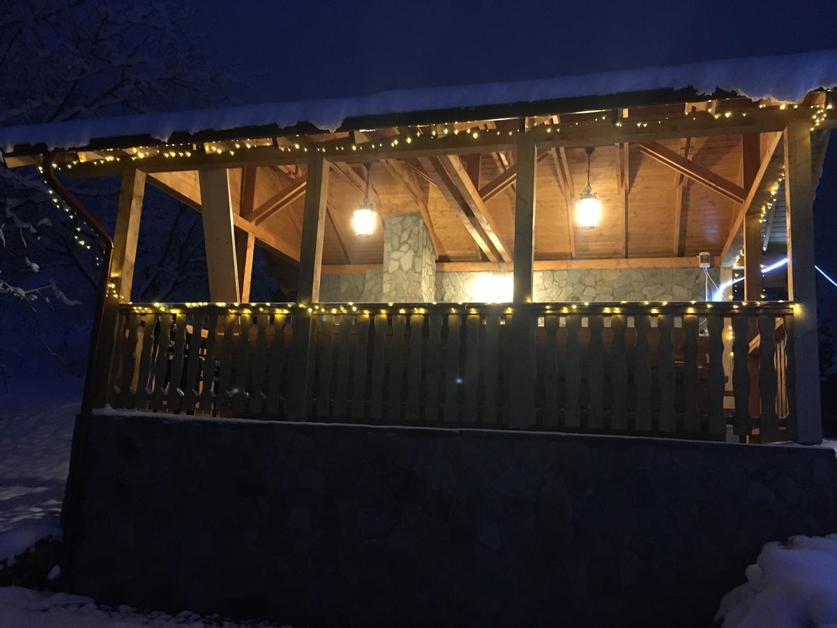 בראן Carpathian Log Home מראה חיצוני תמונה
